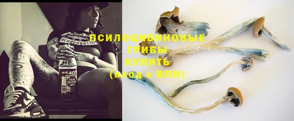 первитин Дмитров