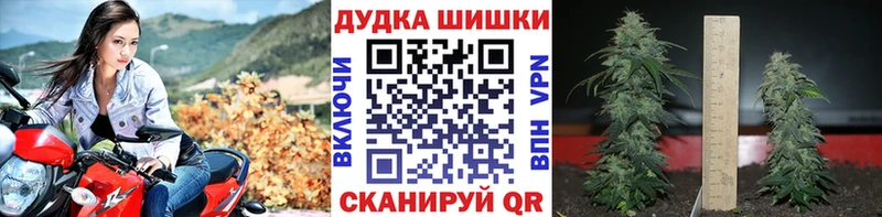 Канабис Bruce Banner  Купить закладки  Магадан 